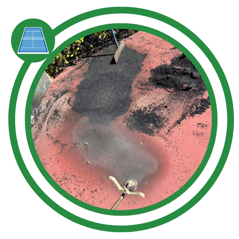 Mold & Mildew Removal
