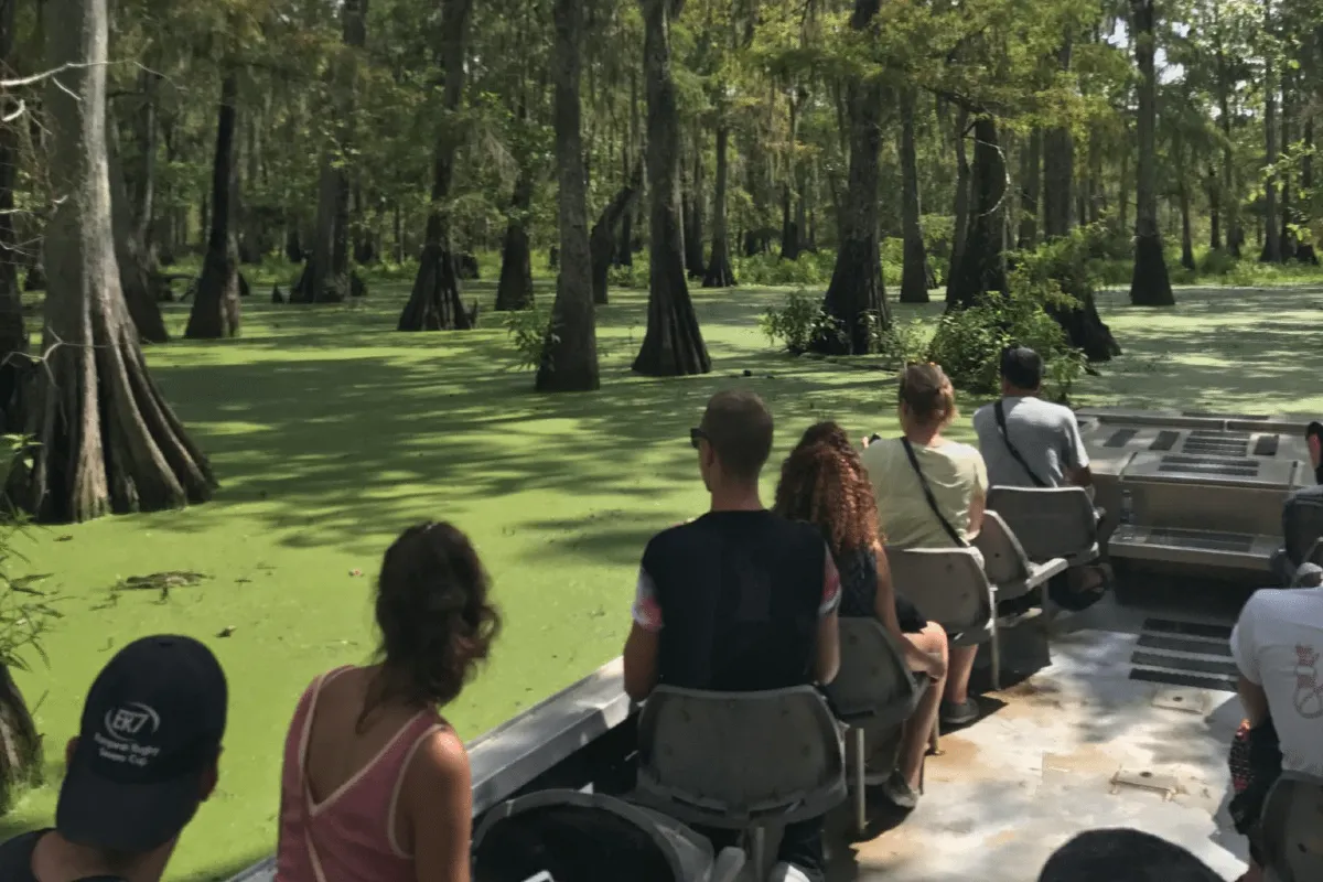 champagne swamp tours reviews