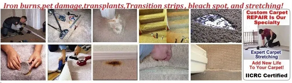 Carpet Stretching in South Florida Iron brns, pet damage, patching, transition strips bleah spots and more!