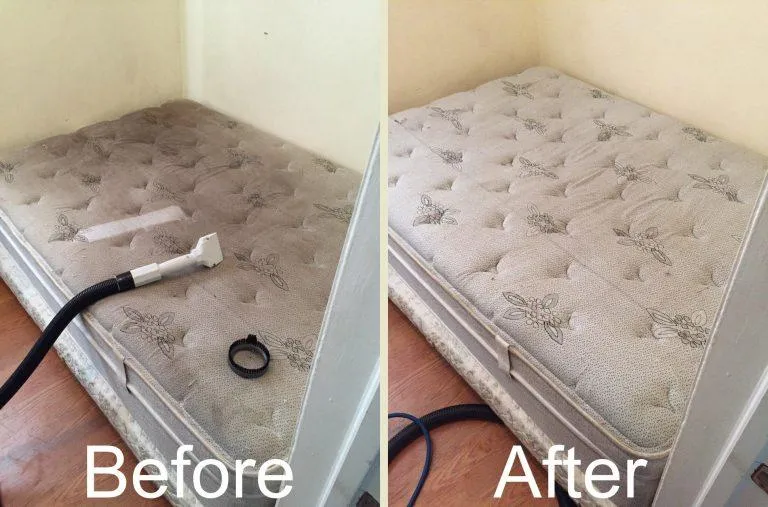Mattress Cleaning in Palm Beach Beore & After