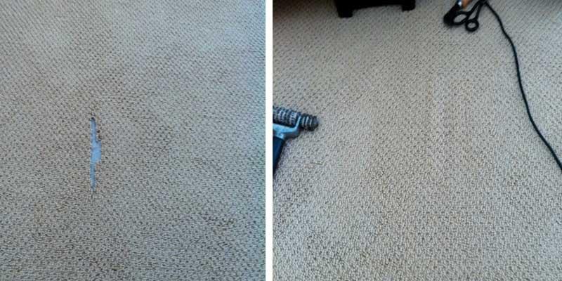 Berber carpet due to Pet in palm beach before and after