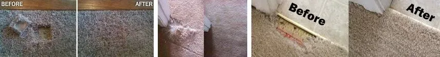 Carpet burn repair in Palm Beach before and after pictures