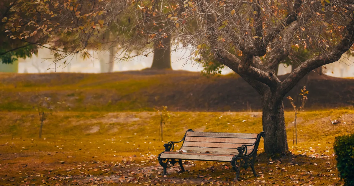 What Grief Asks of Us