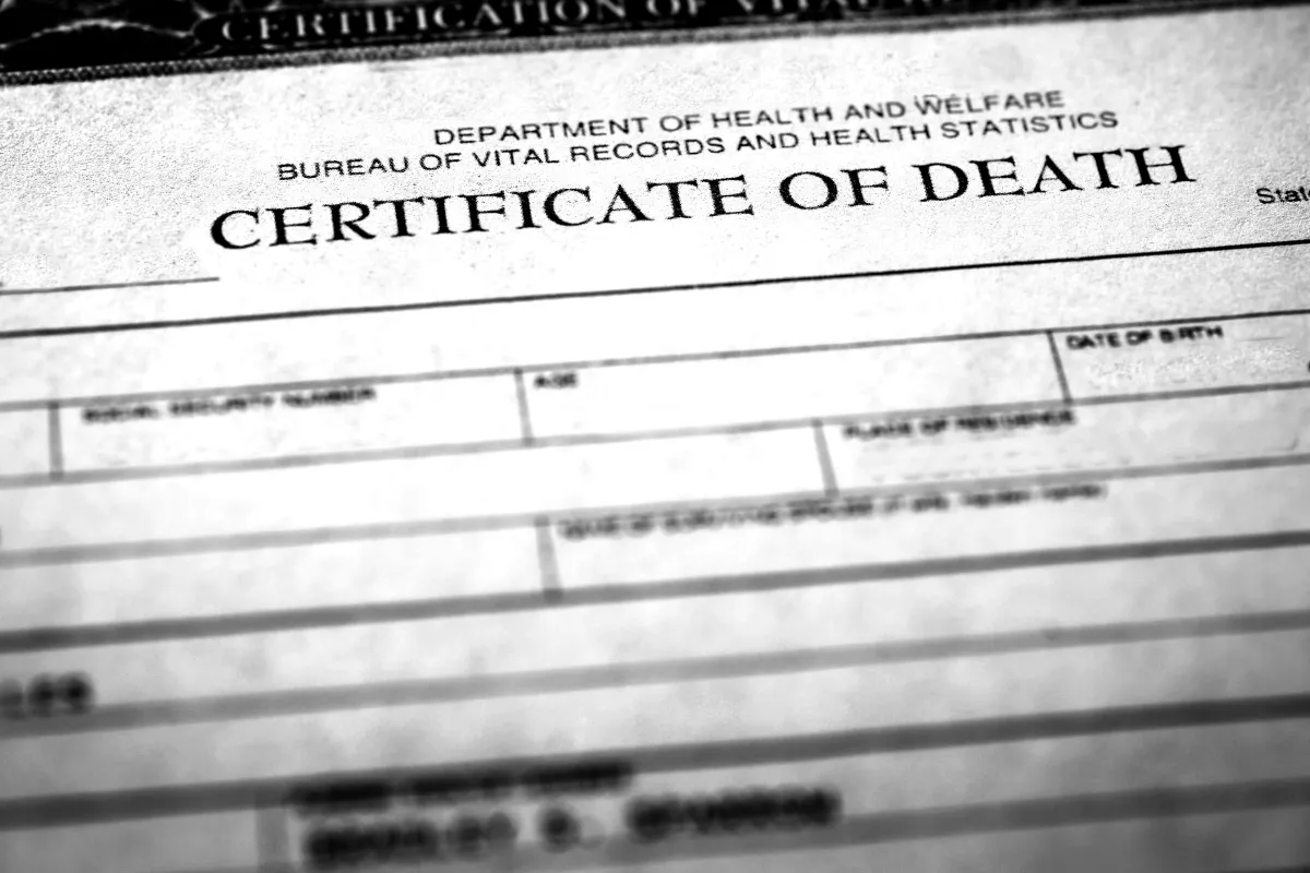 Nobody Tells You About the Paperwork