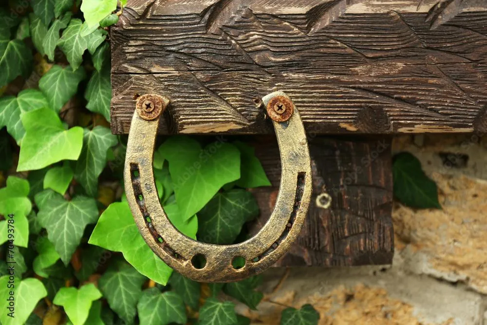 Is It Faith, or Is It Superstition? What the Church Actually Says About Signs