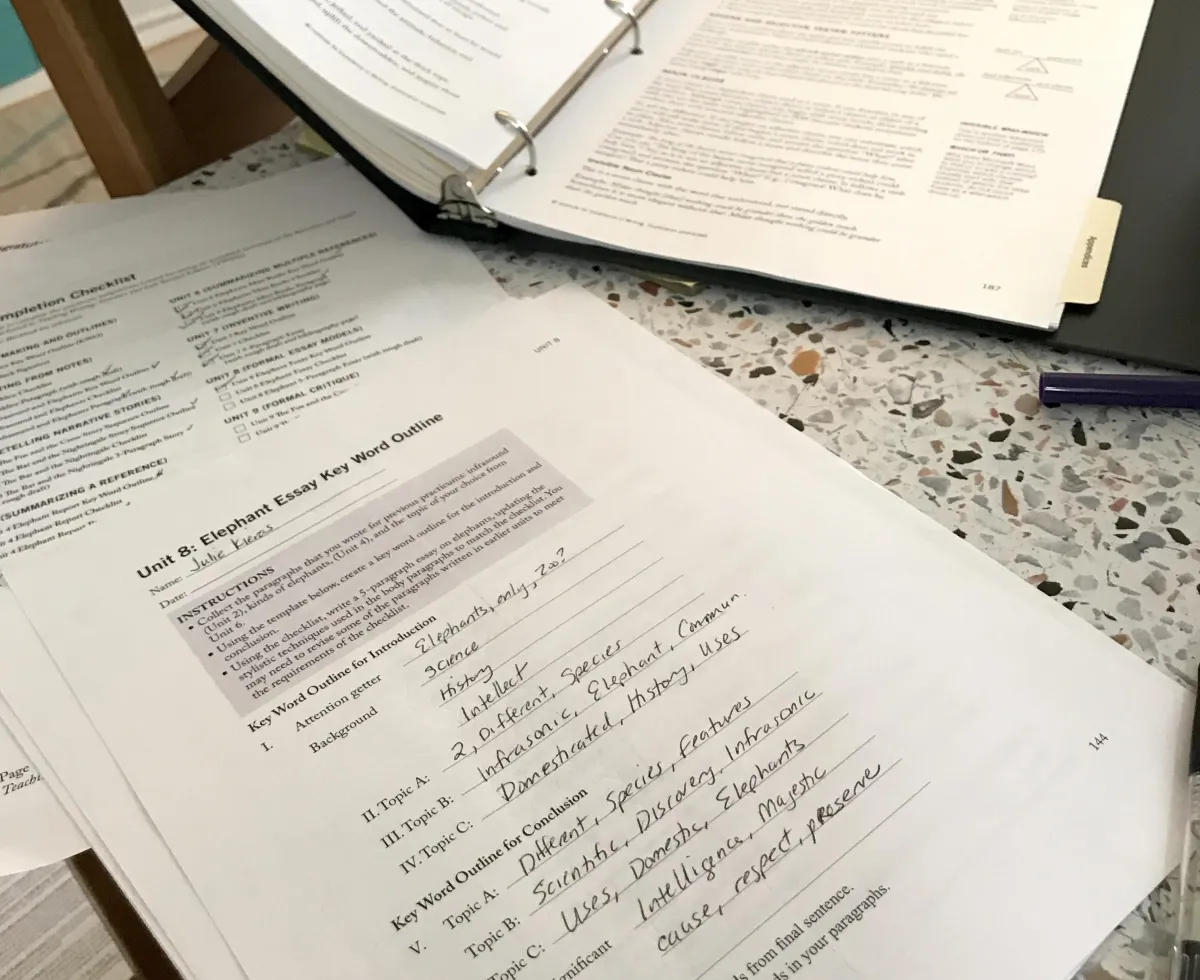 Institute for Excellence in Writing Registered Instructor