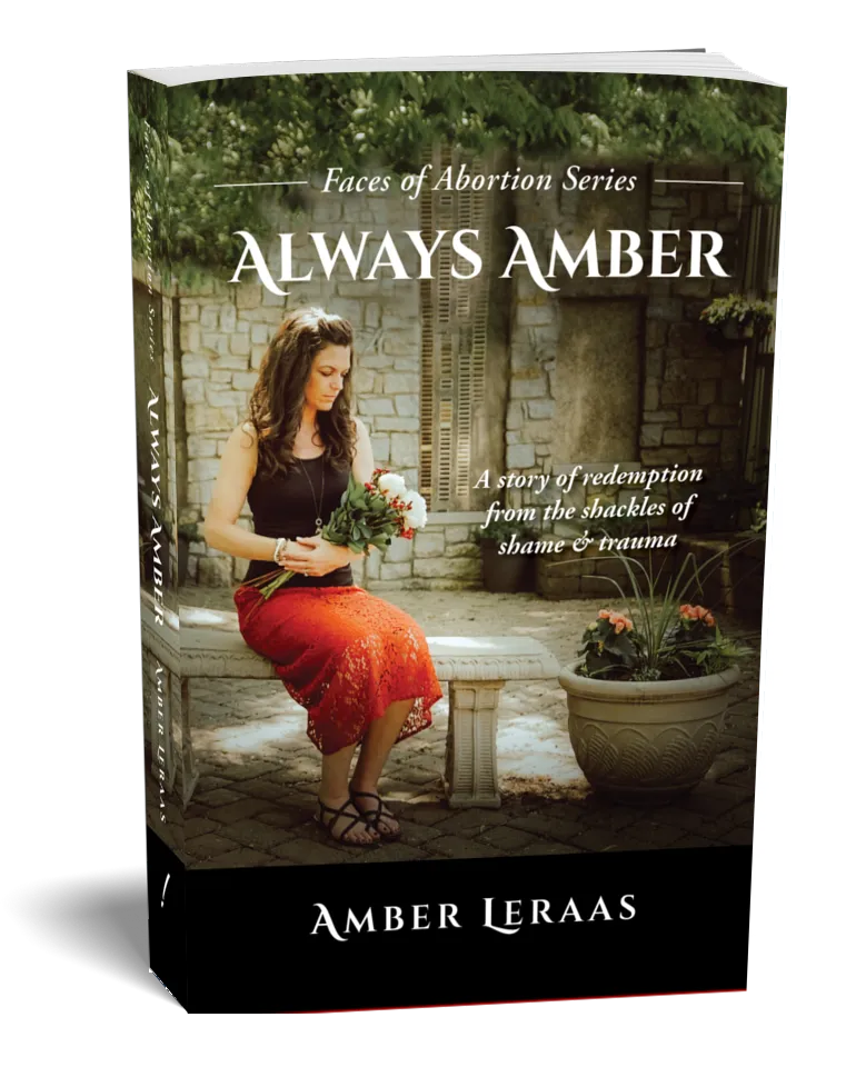 Always Amber book cover