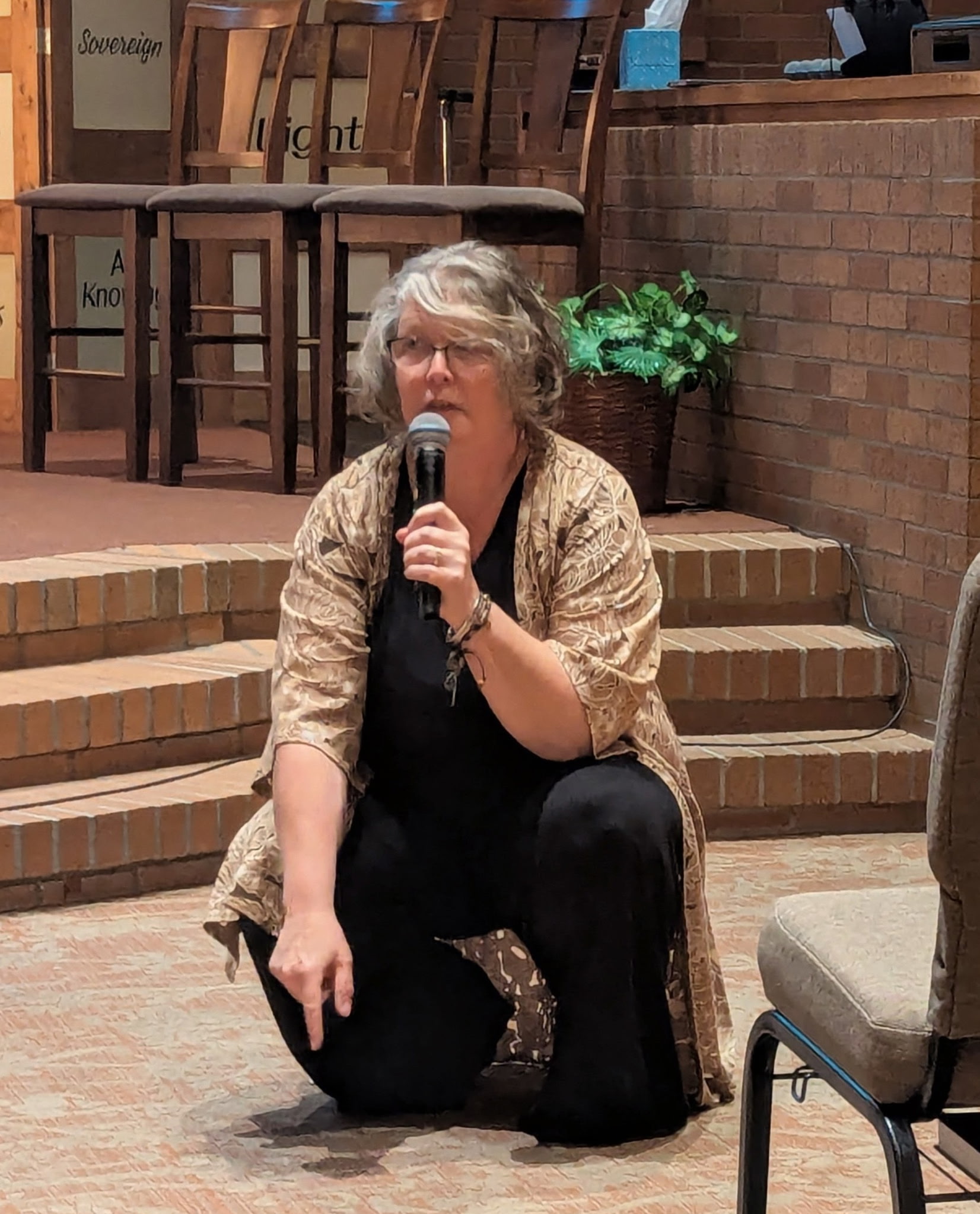 Cheryl speaking at the conference in Ohio