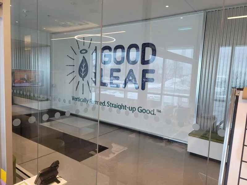 Why March Is the Best Time for Commercial Spring Cleaning in Guelph Offices