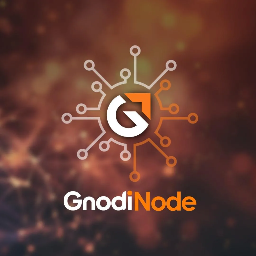 Full Gnodi Node