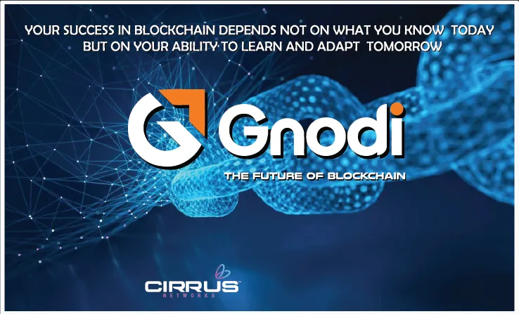 A pair of GNODI WEAR high-waisted wide-leg trousers, neatly folded with a silk scarf, placed on a marble surface with soft natural light. 1:1 aspect ratio.