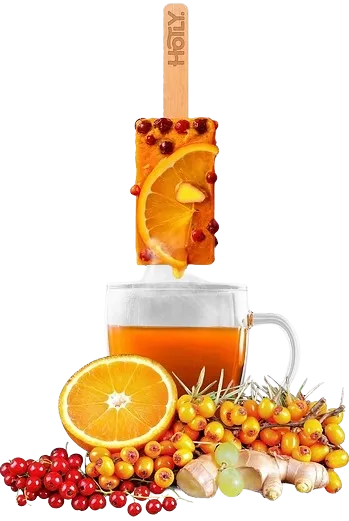 Foodtales Hippophae with ginger