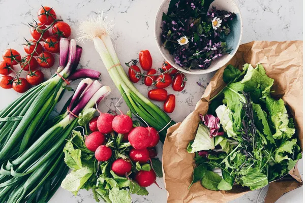 MS Diets Explained: Wahls, Swank, Mediterranean, and More — And Why Flexibility Beats Every One of Them