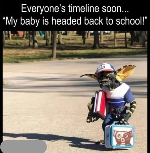 SCHOOL STARTING
