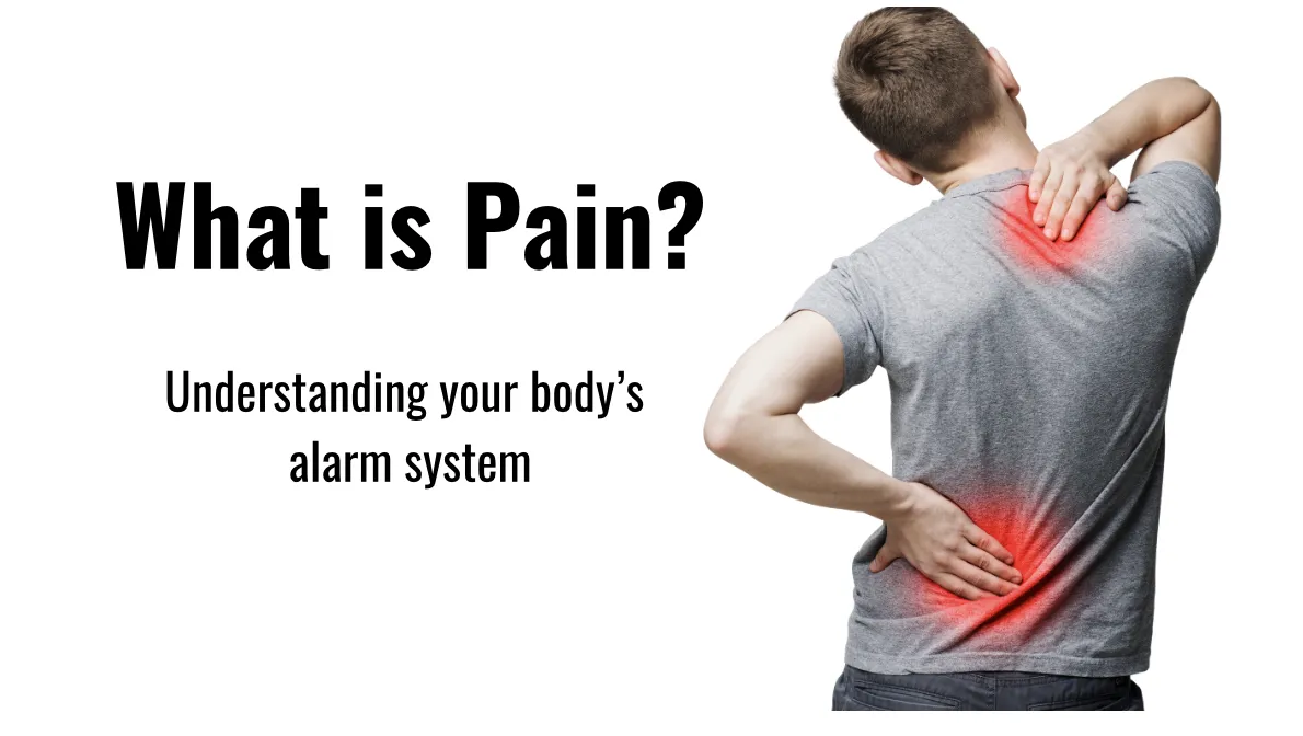 What is Pain?