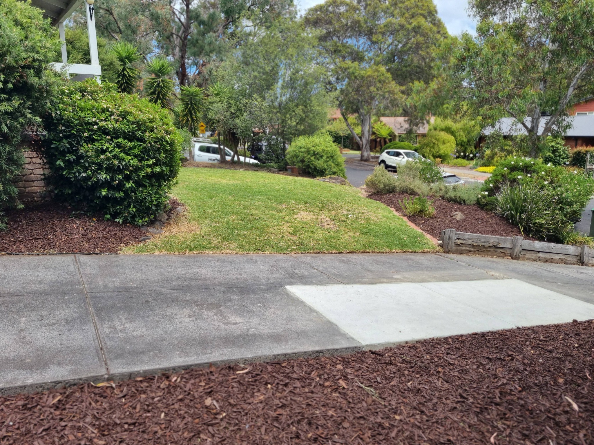 Lawn Mowing Diamond Creek