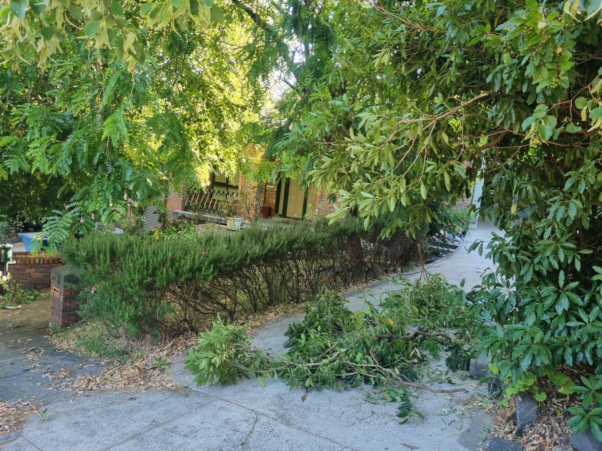 General Gardening Diamond Creek