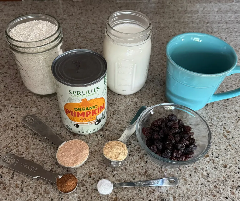 Pumpkin Spice Oat Mug Cake
