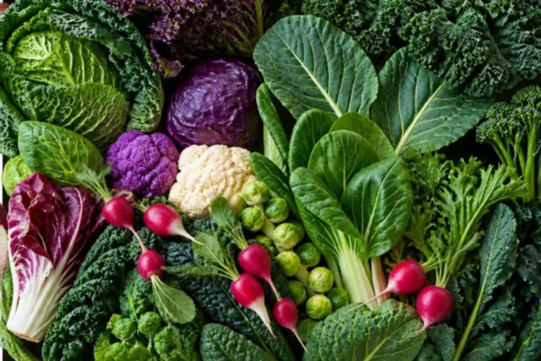 Nutrition Insights: Why Cruciferous Vegetables Matter
