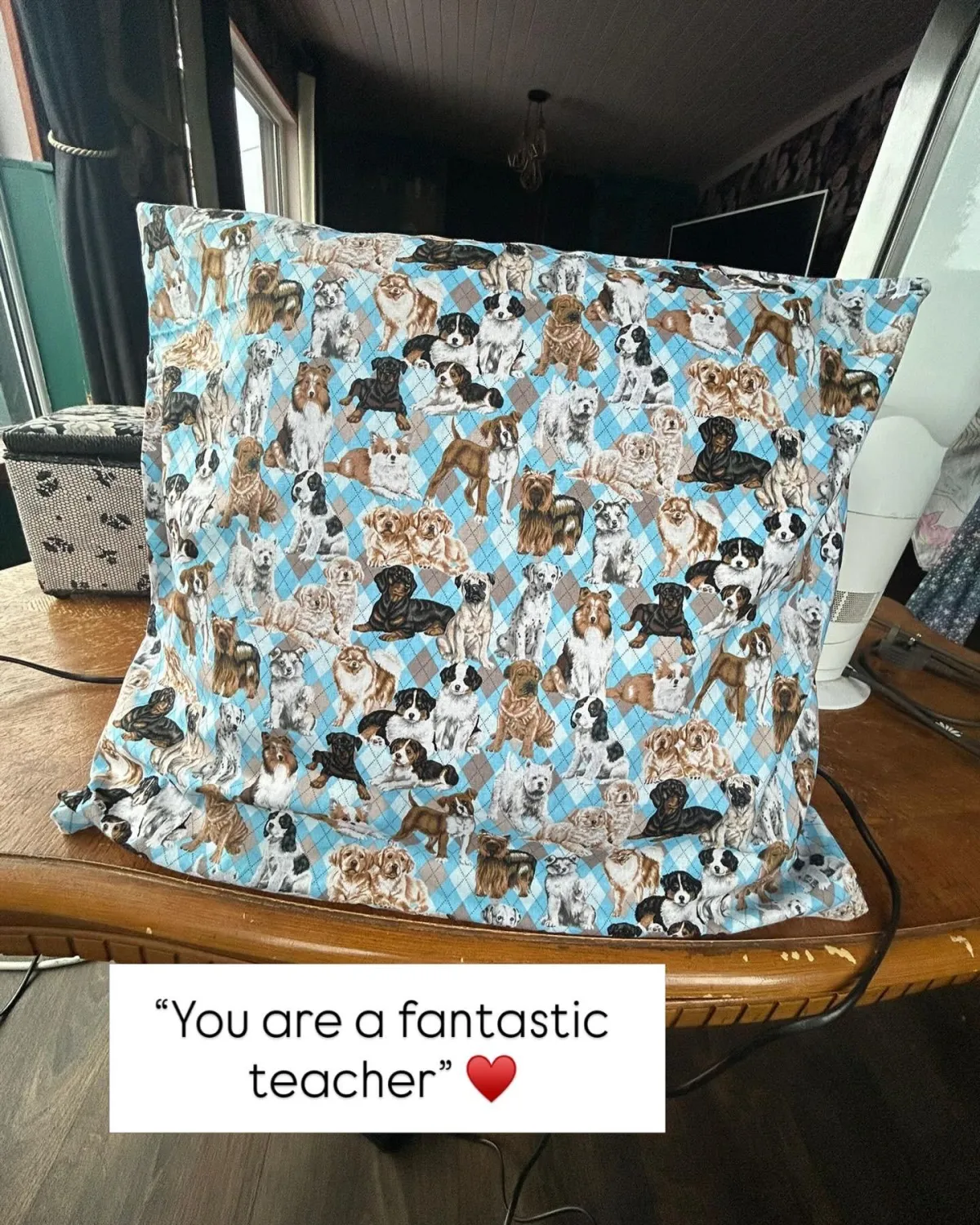 cushion made using Dog print fabric on blue background as second ever sewing project
