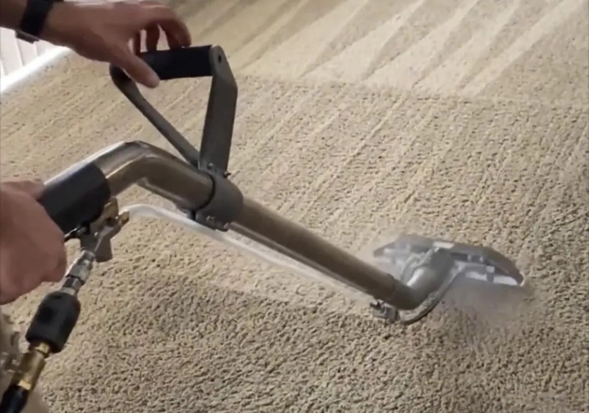 Carpet cleaner in Paso Robles