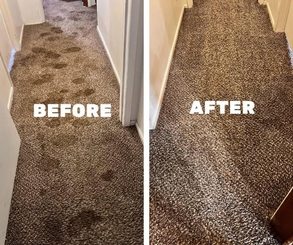 Carpet cleaning company in Paso Robles