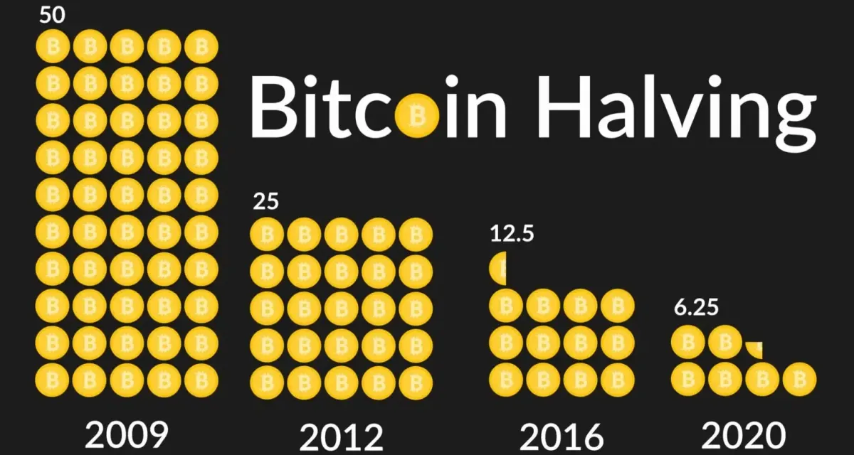 Bitcoin Halving History - Cryptospot.fr