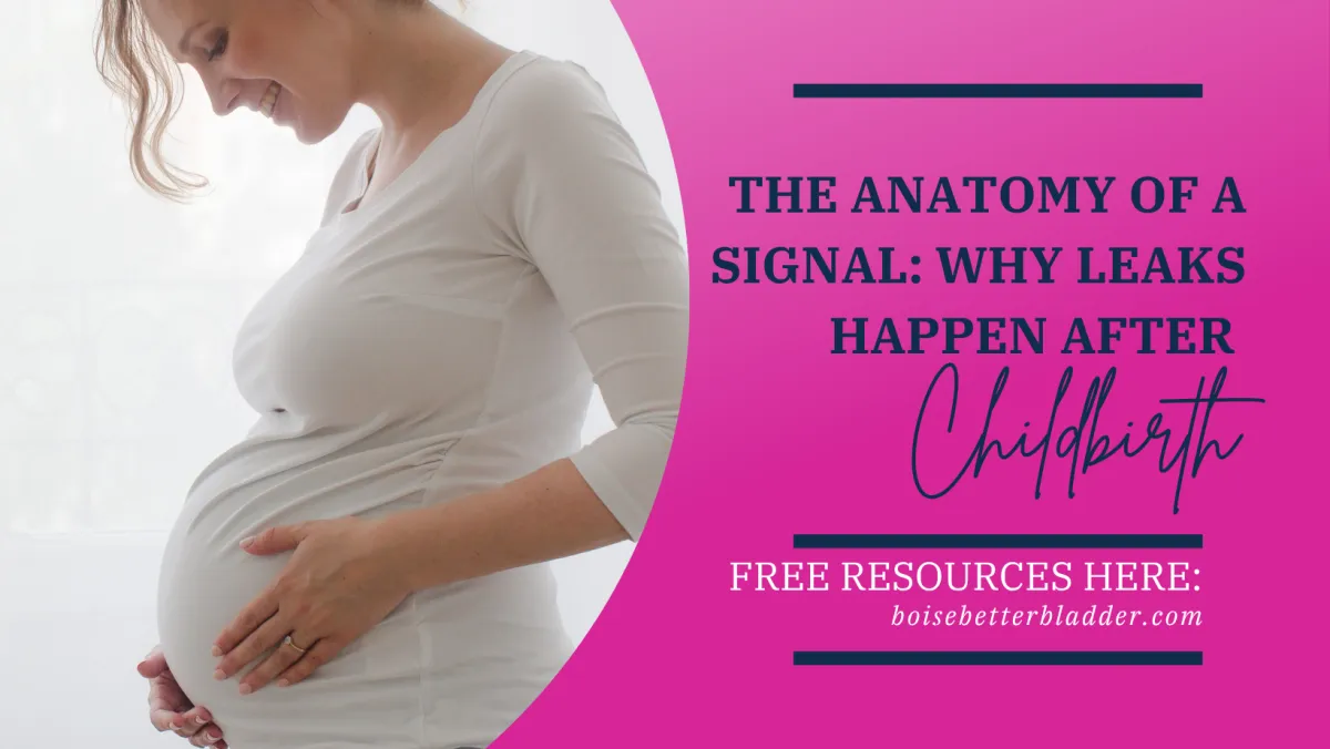 The Anatomy of a Signal: Why Leaks Happen After Childbirth