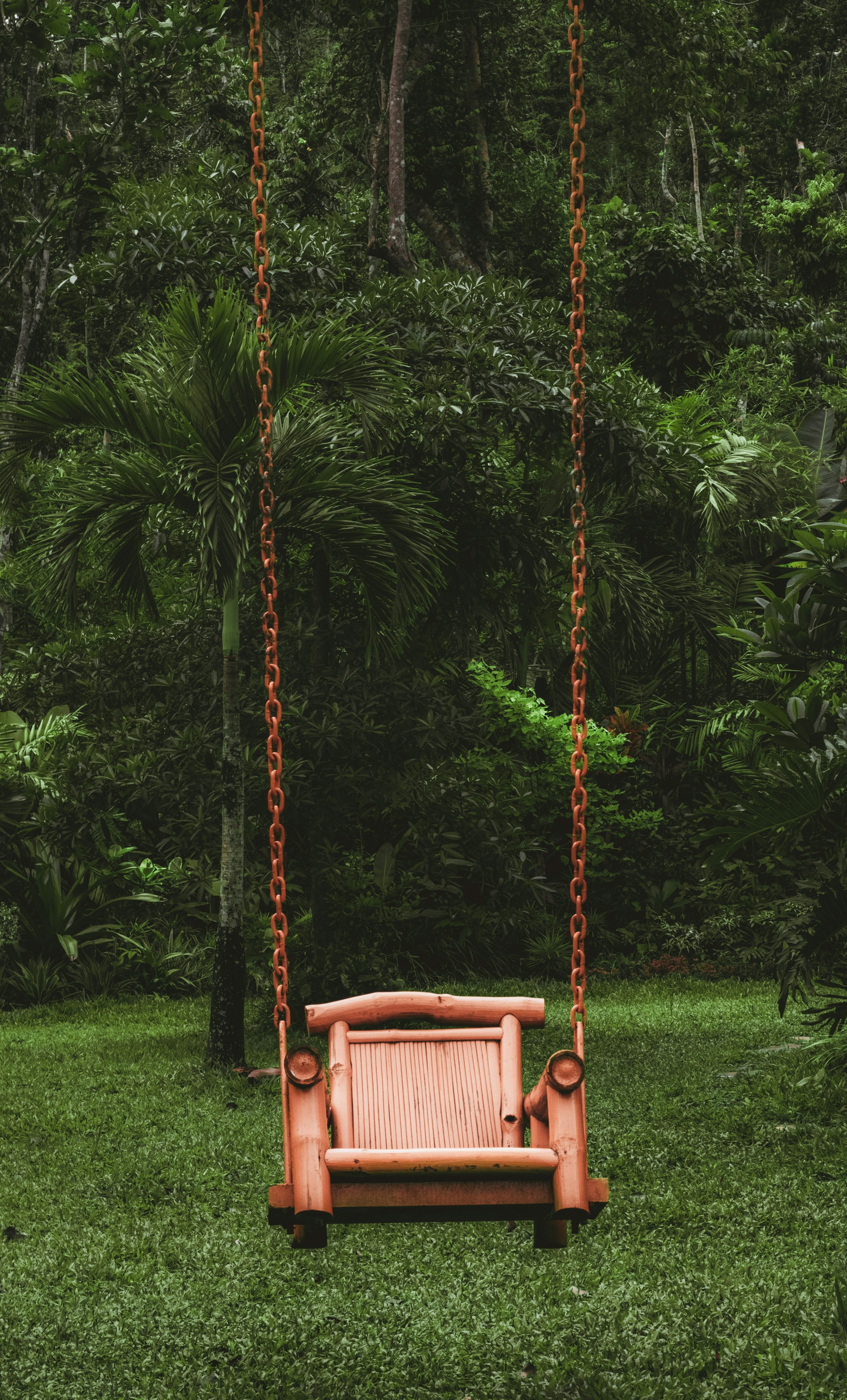 San Vicente tropical lifestyle and luxury living