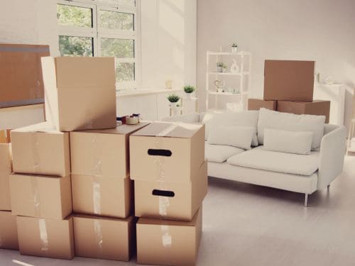 {{ custom_values.service_1 }} in {{custom_values.biz_area_1})