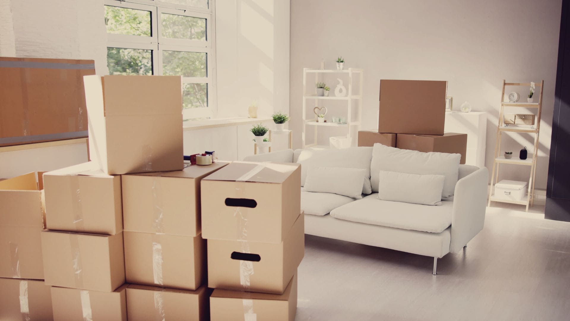 Residential Removals