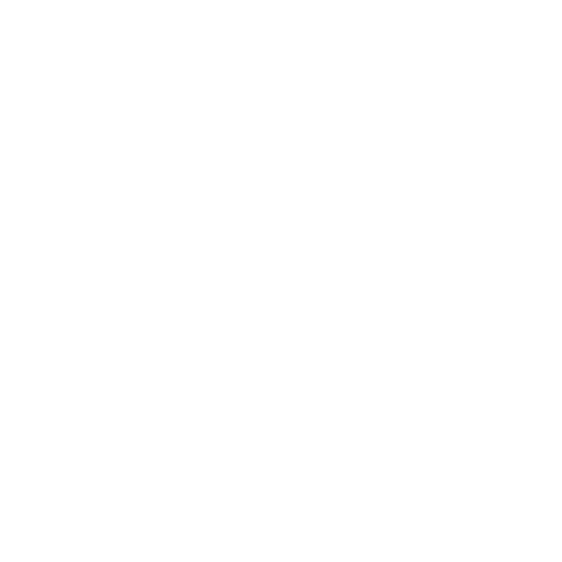 Vision