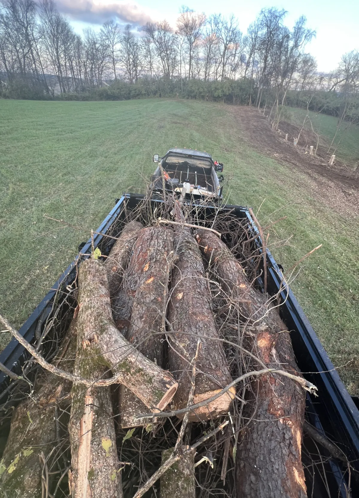 Land Clearing