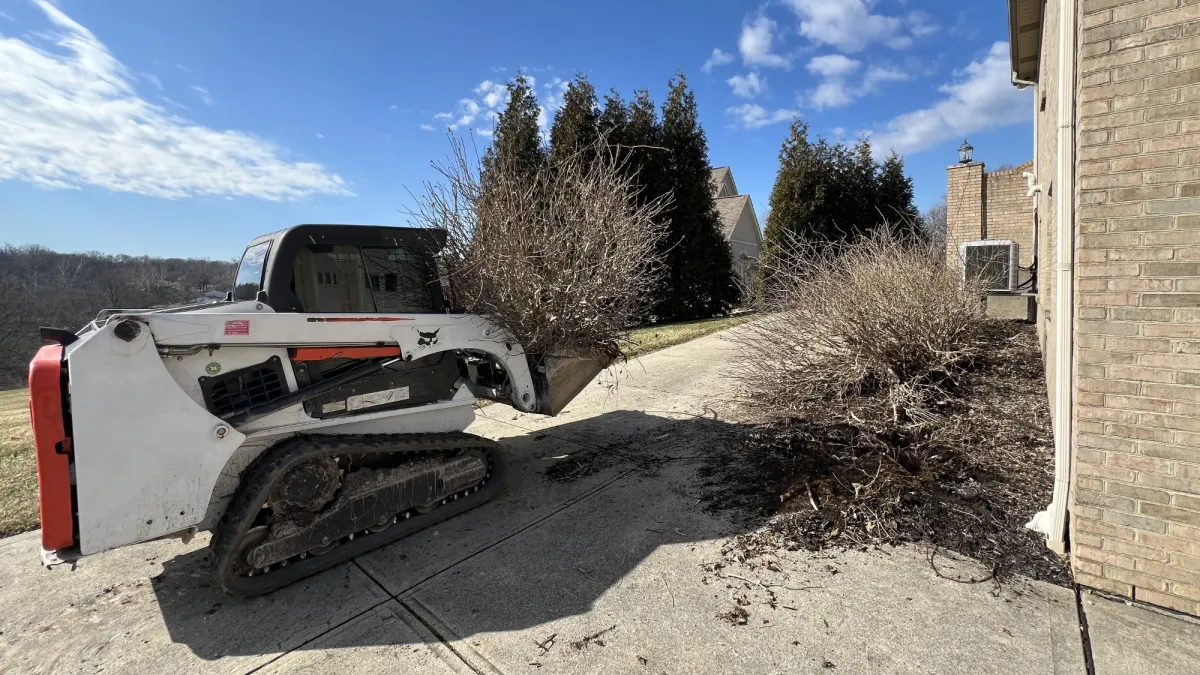 Skid Steer Work