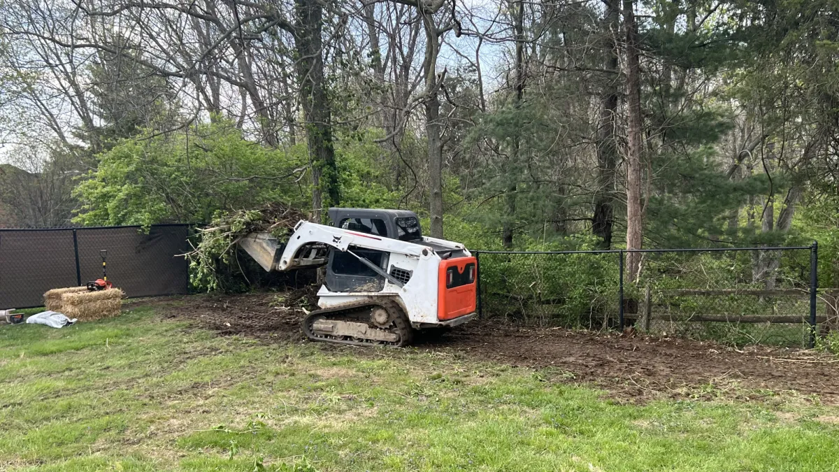 Land Clearing