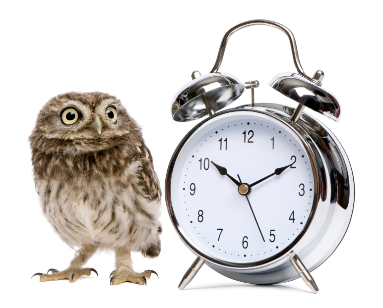 Adrenal Body Type Energy Levels