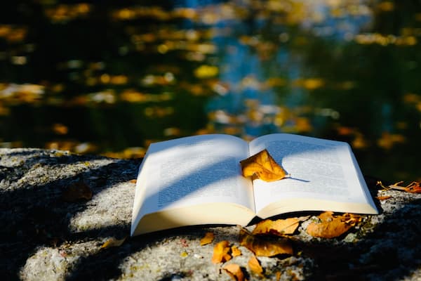 What two abandoned manuscripts taught me