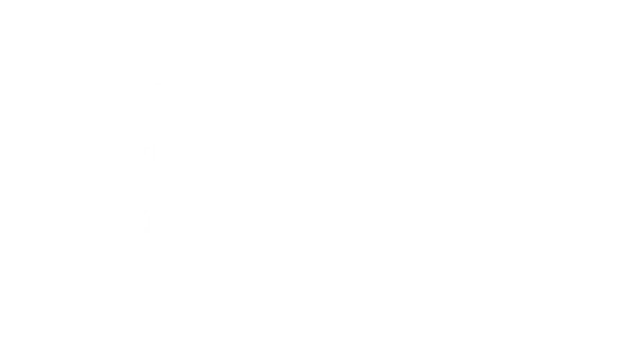 Lone Wolf Entrepreneur