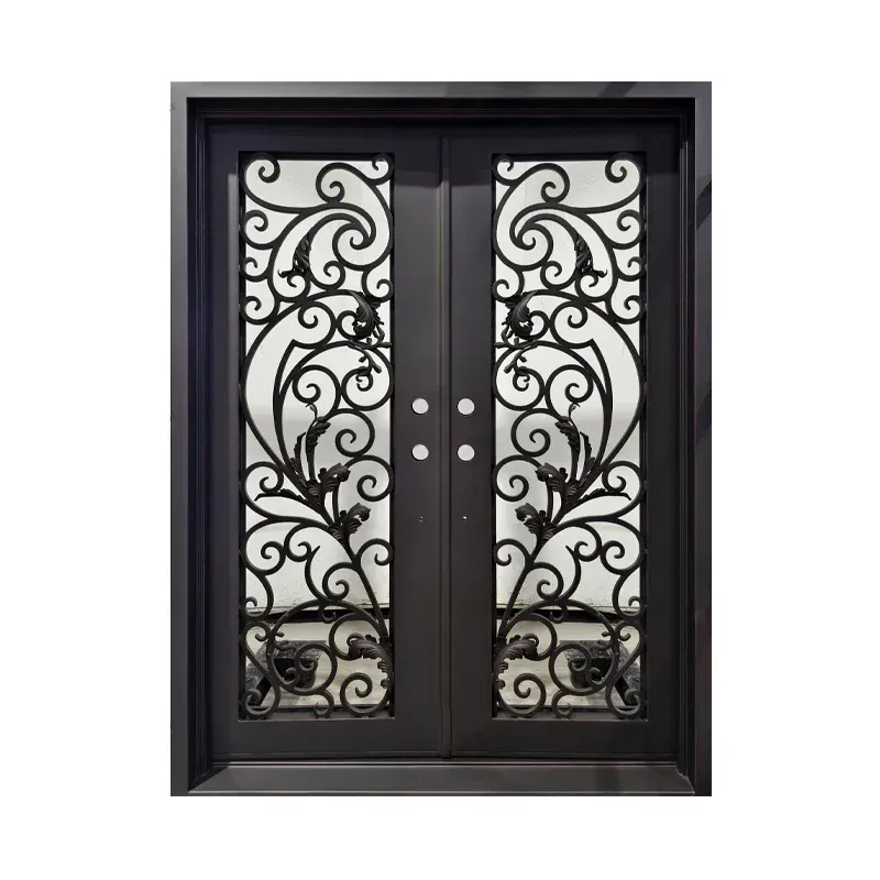Iron pivot entry door with large glass panel