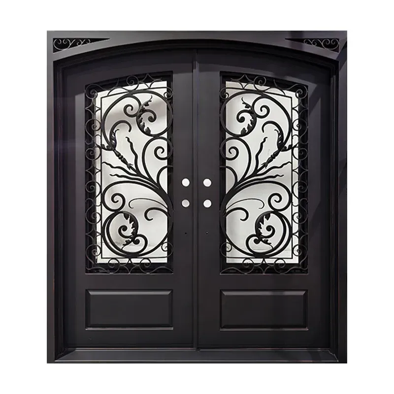 Iron entry door with decorative scroll and privacy glass