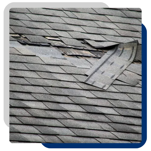 Homeowner meeting with roof repair team for a free estimate in Moline, IL