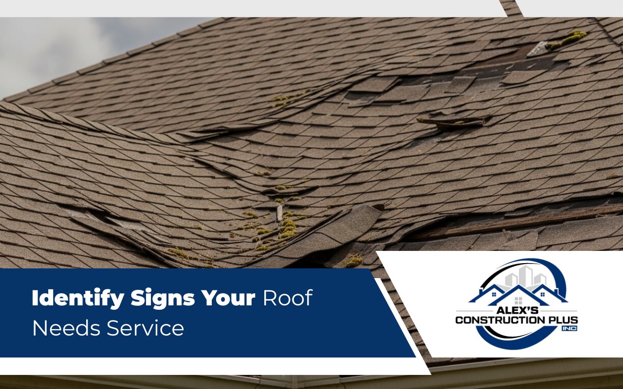 Signs your roof needs service with visible shingle damage