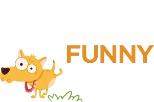Dan DeCapua - The Funny Agent