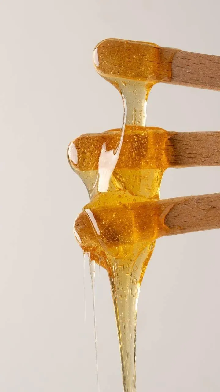 Servicios Dominga Bonita