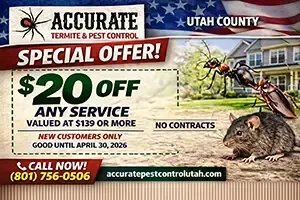 Accurate Pest Control special offer