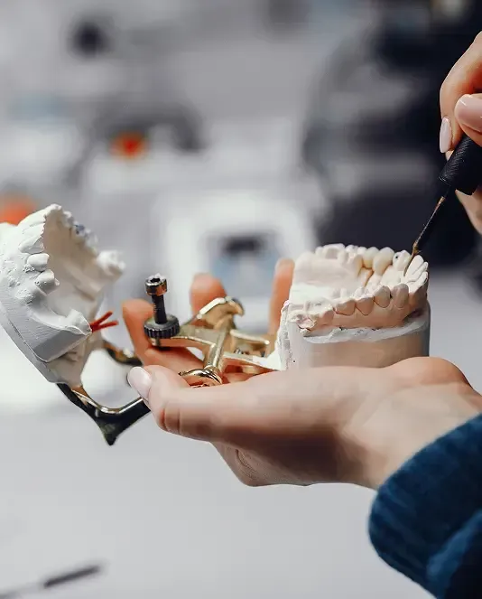 Dentist holding a dental implant model and demonstrating the components of an implant restoration.