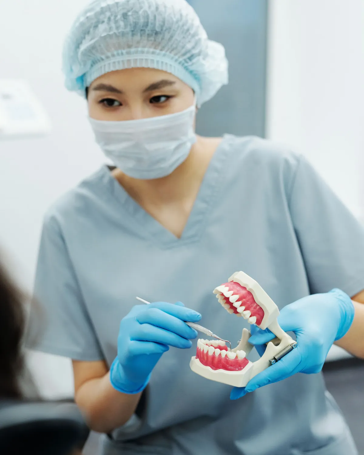 Dental professional demonstrating proper oral care using a dental model and toothbrush during a patient consultation.
