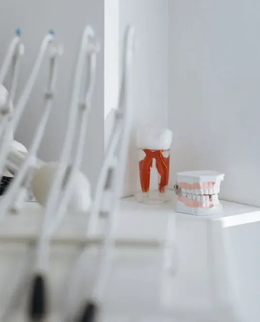 Dental instruments and tooth models displayed in a clean, modern dental clinic.