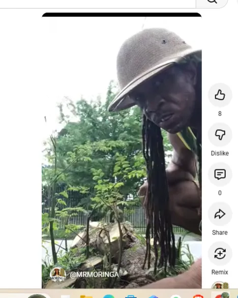 Why Did Mr Moringa Join The Grow Moringa Collective 