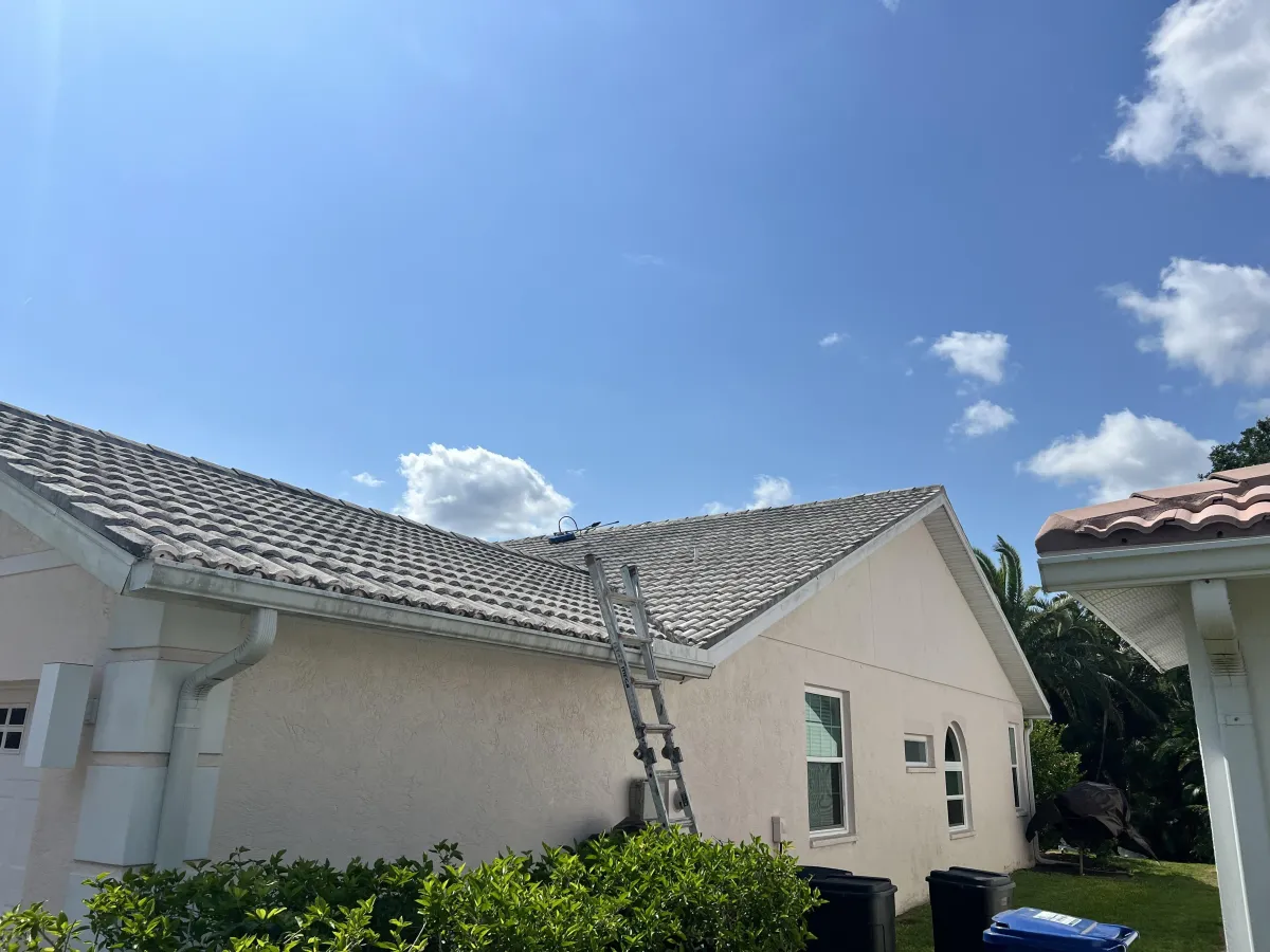 Exterior House Painting